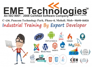 6 Month Industrial Training In Mohali